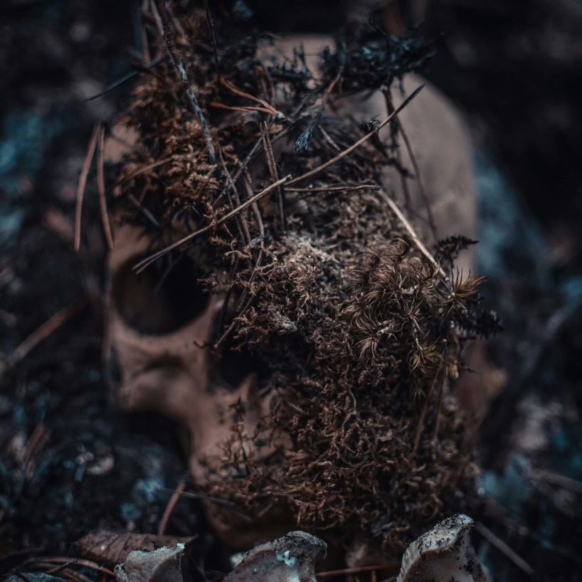 Skull obscured by moss